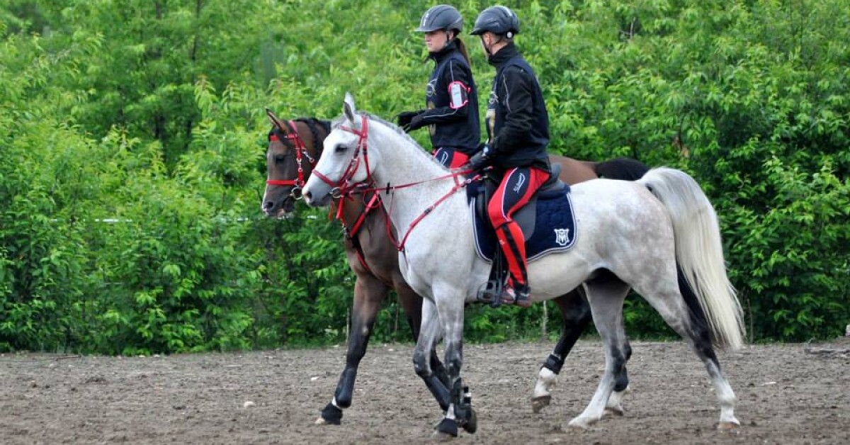 Jeździectwo: Zawodnicy Hejnału Krzyszkowice na 2 i 3 miejscu