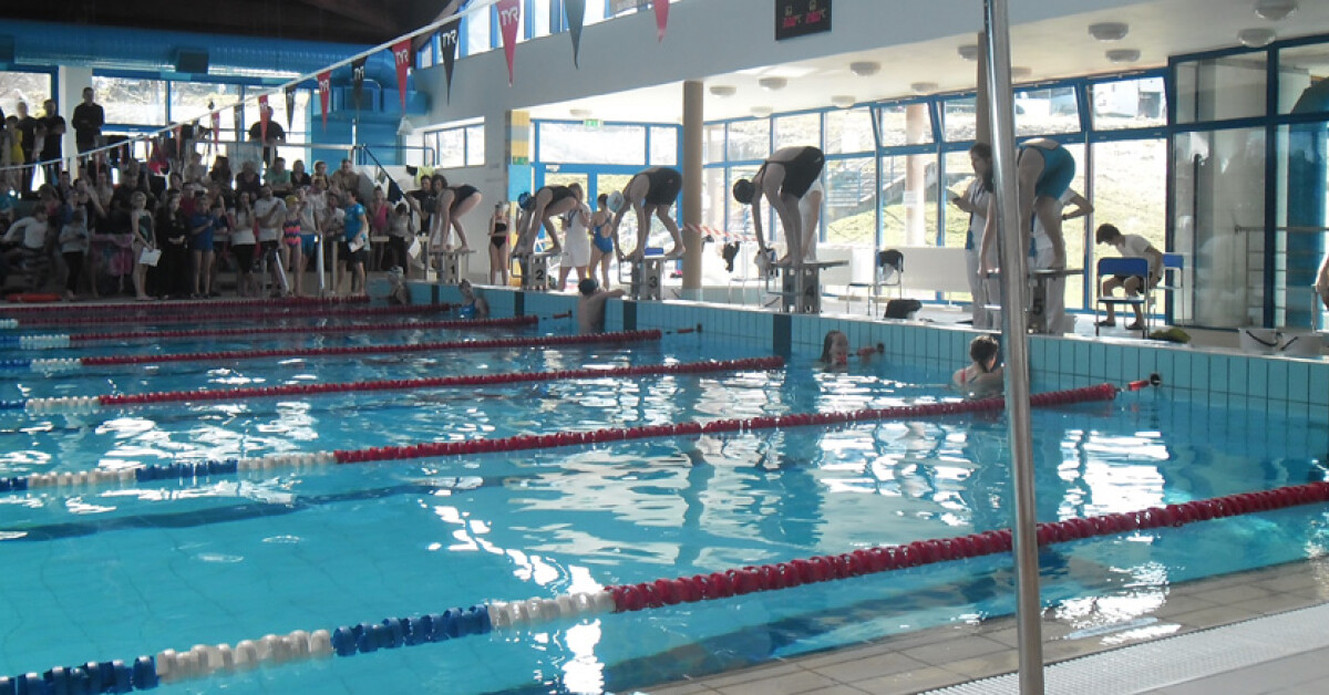 Pływanie: 500 zawodników rywalizowało o puchar burmistrza