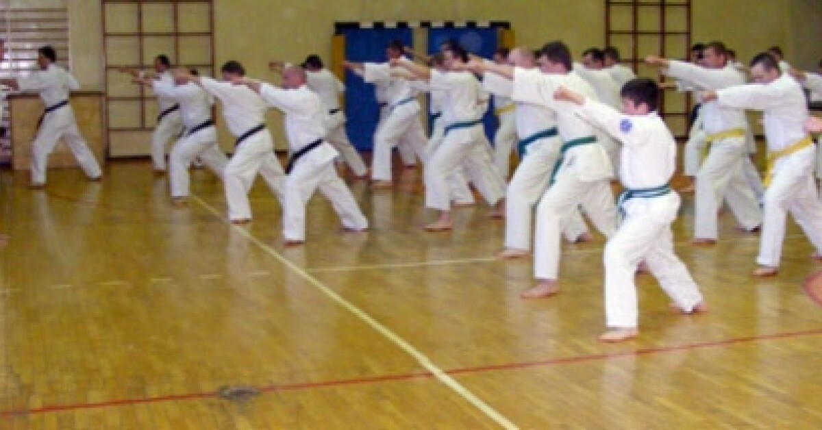 Seido Karate: Zgrupowanie z mistrzem