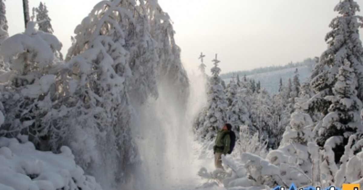 Turystyka: Beskid Żywiecki i Polica zimą