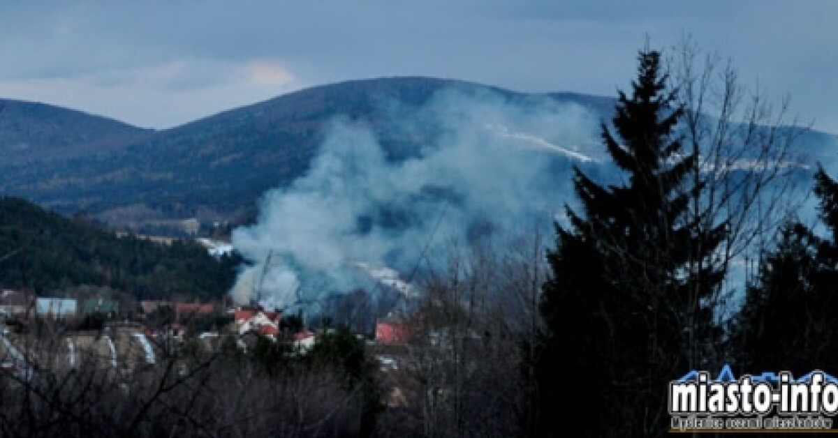 Chełm: Pożar domu w pobliżu lasu