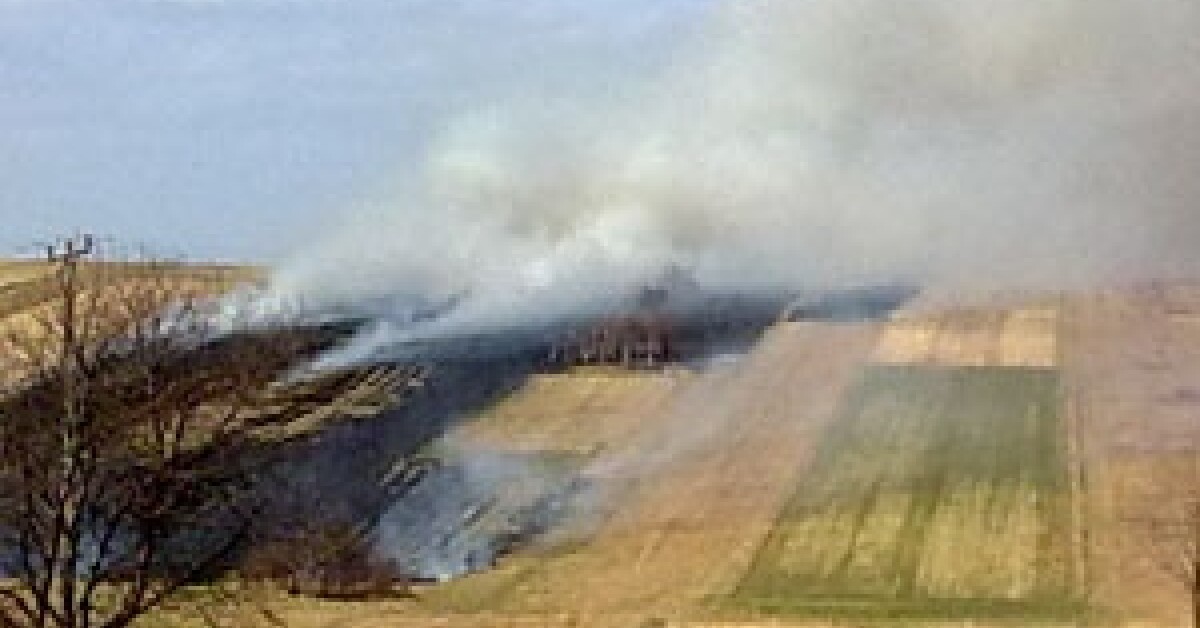 Wypalanie traw: Najwięcej przypadków w gminie: Myślenice, Sułkowice, Siepraw i Dobczyce