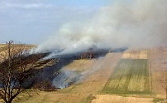 Wypalanie traw: Najwięcej przypadków w gminie: Myślenice, Sułkowice, Siepraw i Dobczyce