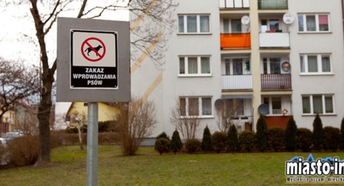 Analizujemy nowy regulamin utrzymania czystości: Masz psa? Masz nowe obowiązki