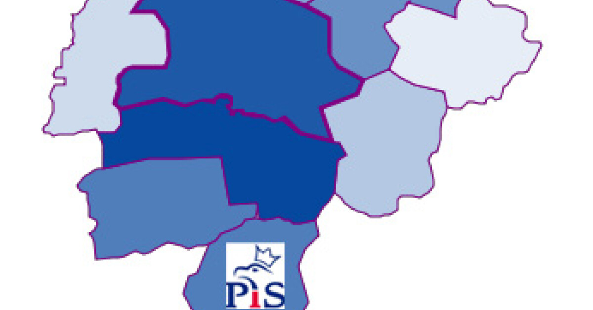 Wybory do Europarlamentu 2014: Co drugi mieszkaniec Lubnia zagłosował na PiS