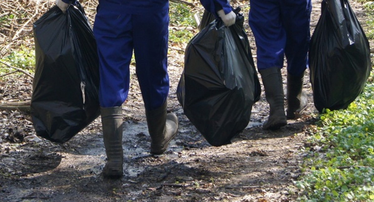 Zabite szczeniaki w koszu na śmieci. Małe kotki w toalecie