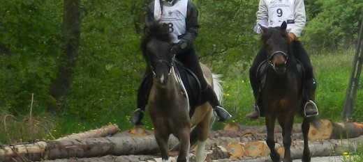 Jeździectwo konne: Jeremi Wcisło pierwszy w II Pucharze Małopolski