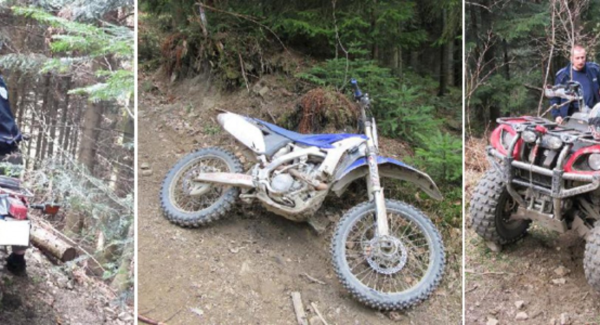 Crossy, quady i inne mechaniczne wynalazki w lesie to problem znany od lat