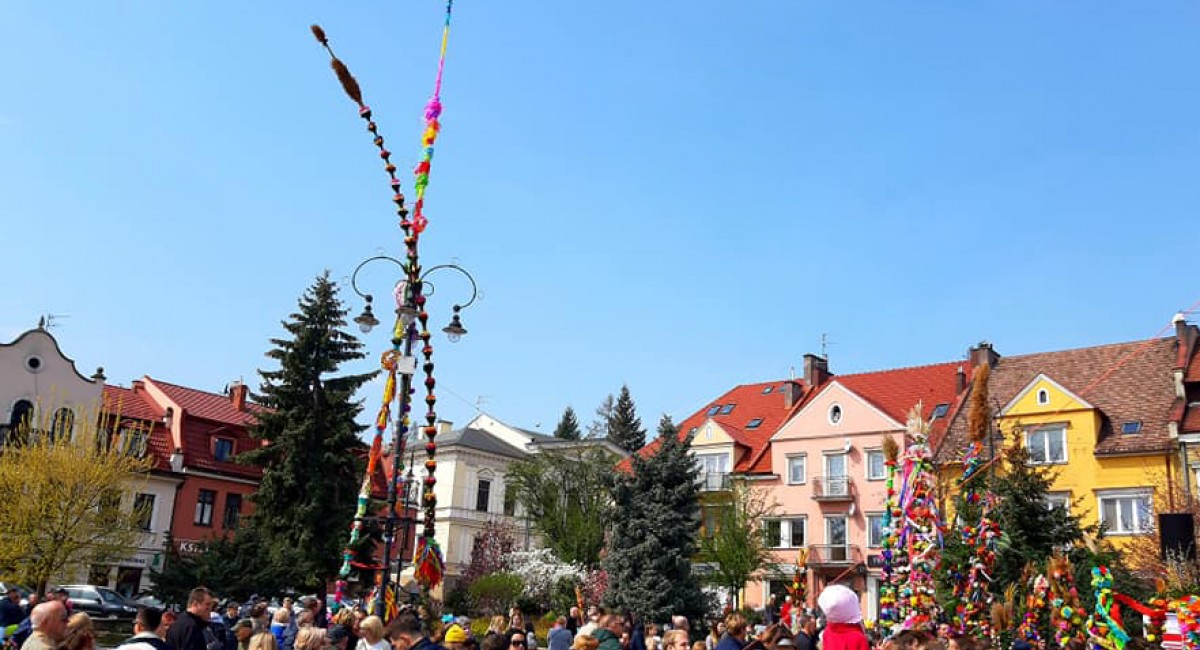 Niedziela Palmowa na Rynku: Najdłuższa palma miała 18,2 metra