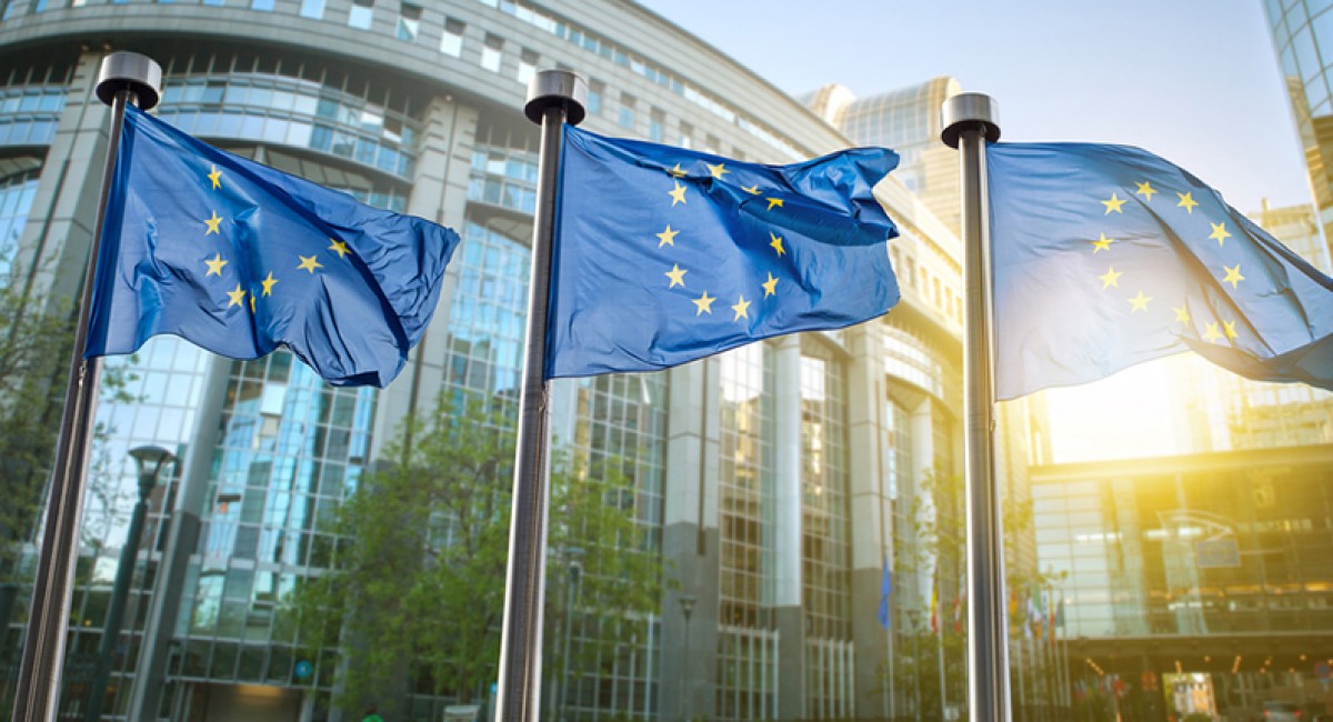 Wybory do Parlamentu Europejskiego 2019: Kto w naszym regionie powalczy o euromandat?