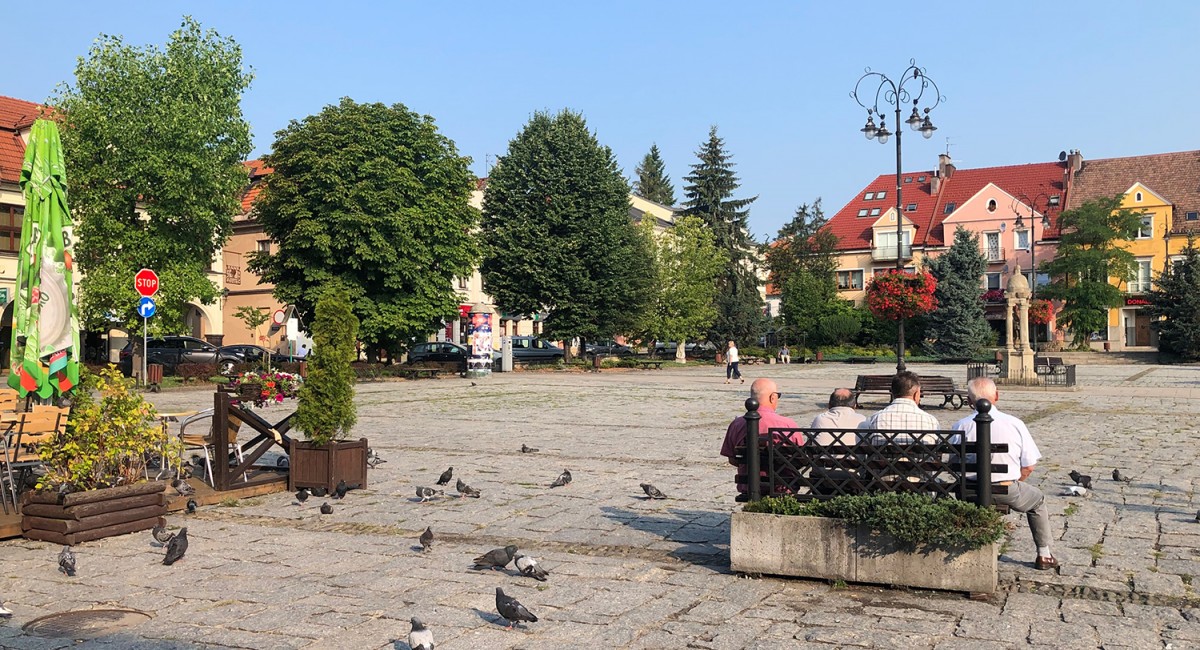 Drzewa w Rynku czeka wycinka? Mieszkańcy apelują o ich pozostawienie