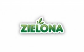 Zatrudnimy osobę do pracy na stanowisku -PRZEDSTAWICIEL HANDLOWY