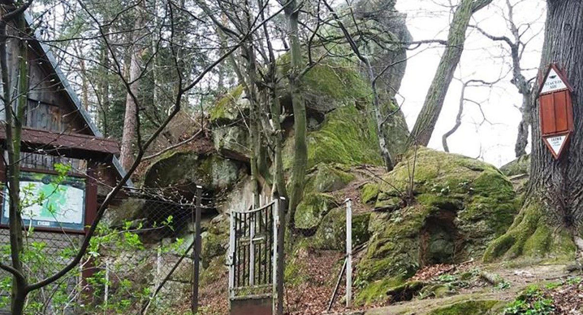 Park Kulturowy "Dzikowy Skarb" ma być tarczą dla środowiska