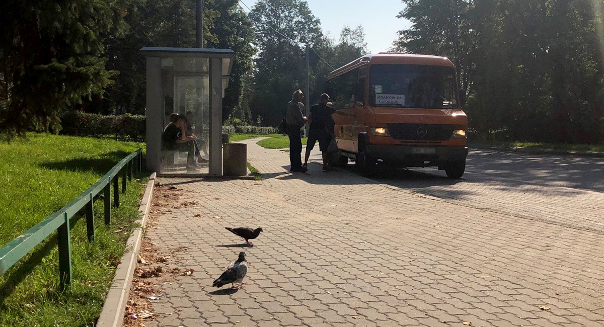 Są dopłaty do komunikacji autobusowej. Którędy pojadą obsługujące ją busy?