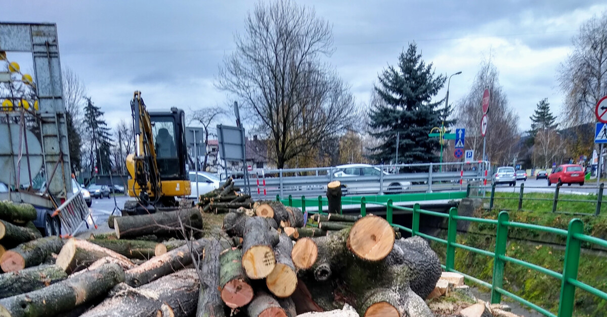 Trwa wycinka drzew przy ul. Słowackiego w Myślenicach. Mieszkańcy planują protest
