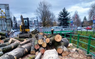 Trwa wycinka drzew przy ul. Słowackiego w Myślenicach. Mieszkańcy planują protest