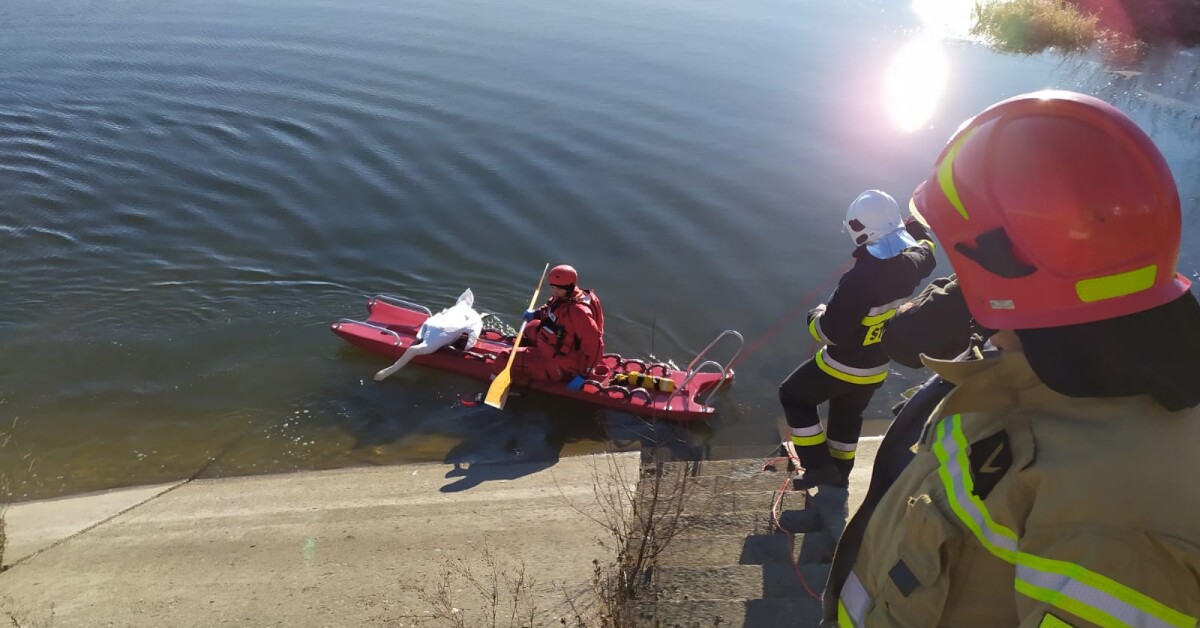 Brzączowice: Strażacy ratowali łabędzia, który utknął na zamarzniętym jeziorze