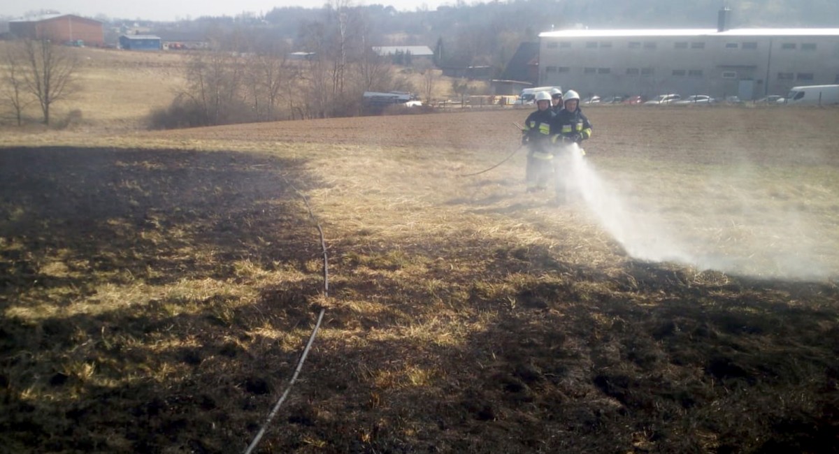 Płoną trawy w regionie. Gospodarze nie respektują żadnych zakazów