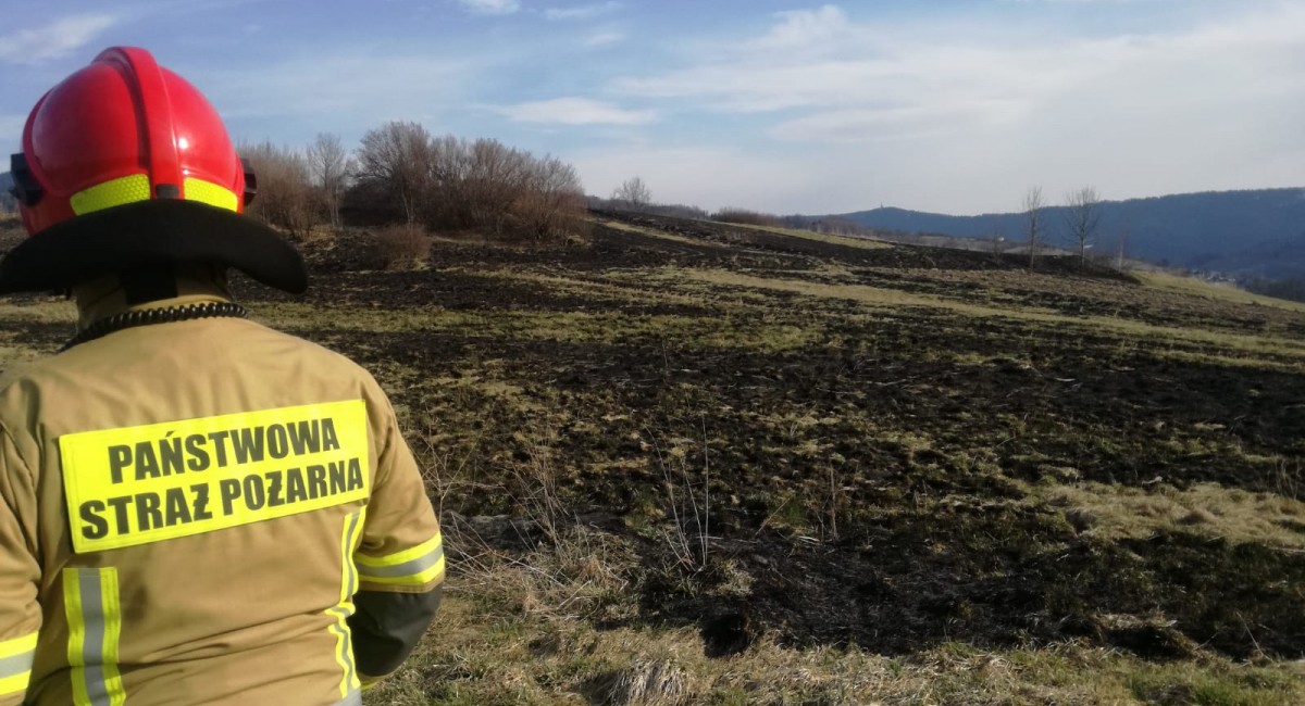 Płoną trawy w regionie. Mężczyzna z poparzonymi nogami trafił do szpitala