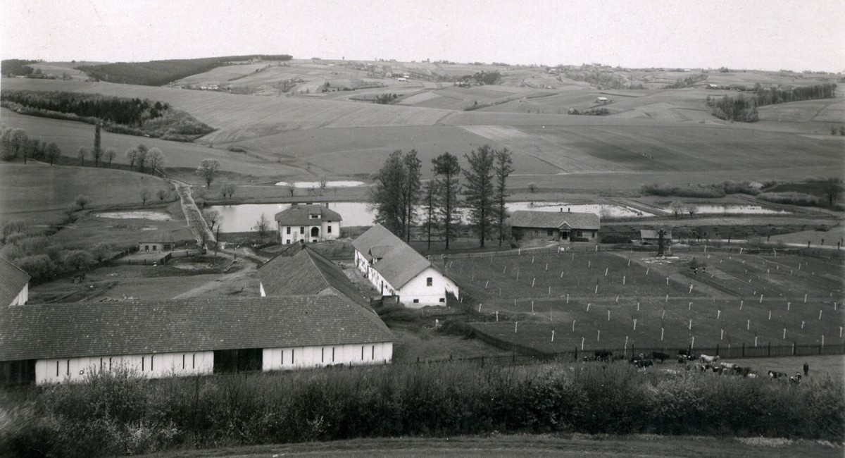 Tak w 1927 roku prezentował się przysiółek Kawęciny w Sieprawiu