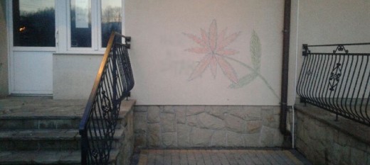 Namalował kwiatka na budynku OSP w Drogini. Zatrzymała go policja