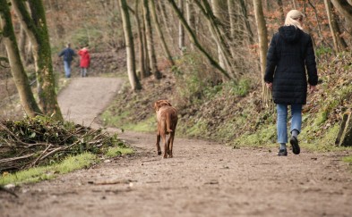 Spacer z psem bez smyczy, czy kagańca? Przygotuj się na mandat