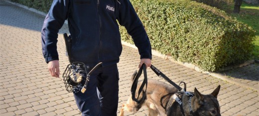 Obrobił firmę w której pracował. Wywęszył go policyjny pies