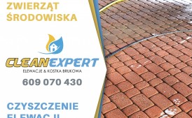 Profesjonalne mycie kostki brukowej elewacji ogrodzeń