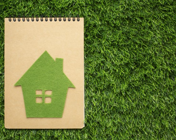Zleć usługę zielonych dachów – korzyści dla środowiska i twojego portfela