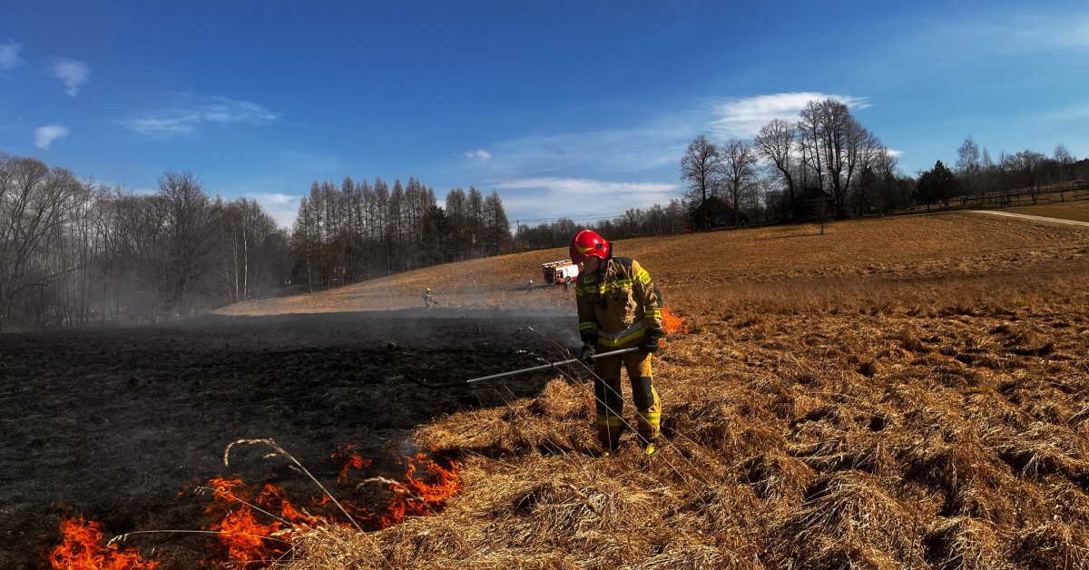 Płoną trawy w powiecie. Przed nami kolejne ciepłe dni