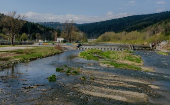 Wycięcie krzaków i zarośli nad Rabą? "To zadanie Wód Polskich"