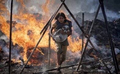 Zobacz nagrodzone zdjęcia konkursu mgFoto: „Świat w 2024 roku”