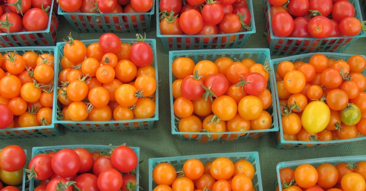 Myślenice. Nowe stawki opłaty targowej. Radni jednogłośnie przyjęli uchwałę