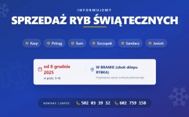 Świąteczna sprzedaż ryb (obok sklepu Rybka, ul. Ogrodowa) - Zapisy!