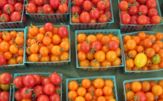 Myślenice. Nowe stawki opłaty targowej. Radni jednogłośnie przyjęli uchwałę