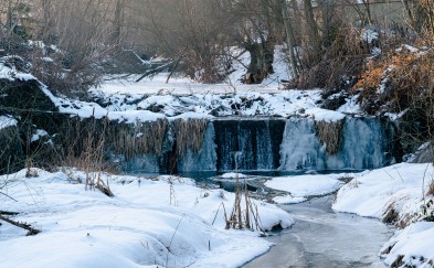 Myślenice. Bobry budują tamę na Bysince. Radny szuka sposobu na to jak je powstrzymać