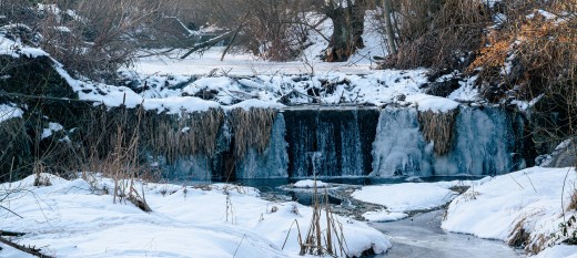 Myślenice. Bobry budują tamę na Bysince. Radny szuka sposobu na to jak je powstrzymać