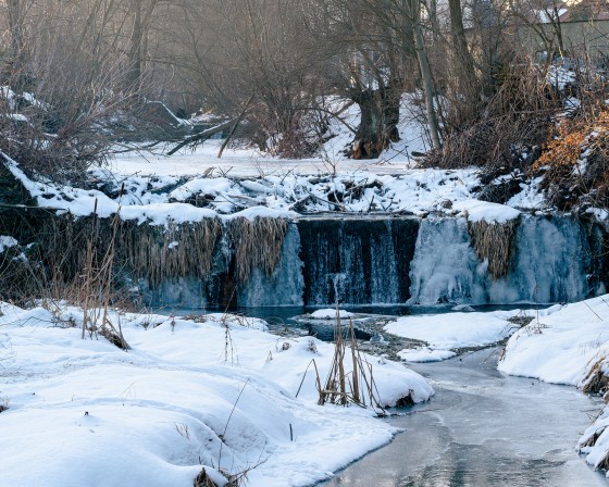 Myślenice. Bobry budują tamę na Bysince. Radny szuka sposobu na to jak je powstrzymać