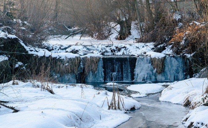 Myślenice. Bobry budują tamę na Bysince. Radny szuka sposobu na to jak je powstrzymać