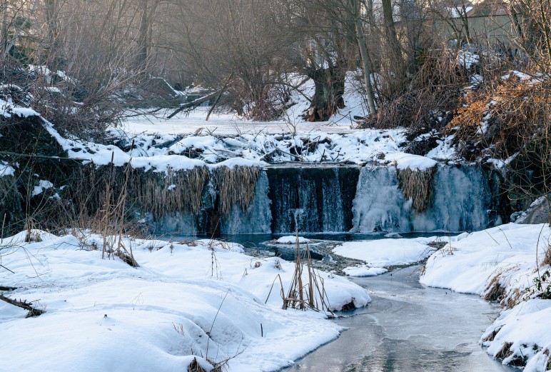 Myślenice. Bobry budują tamę na Bysince. Radny szuka sposobu na to jak je powstrzymać