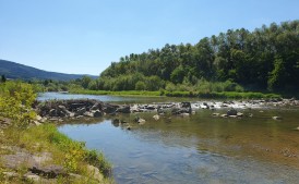 Przepiękny ogródek działkowy (3ar) Myślenice – ROD „Porabie”