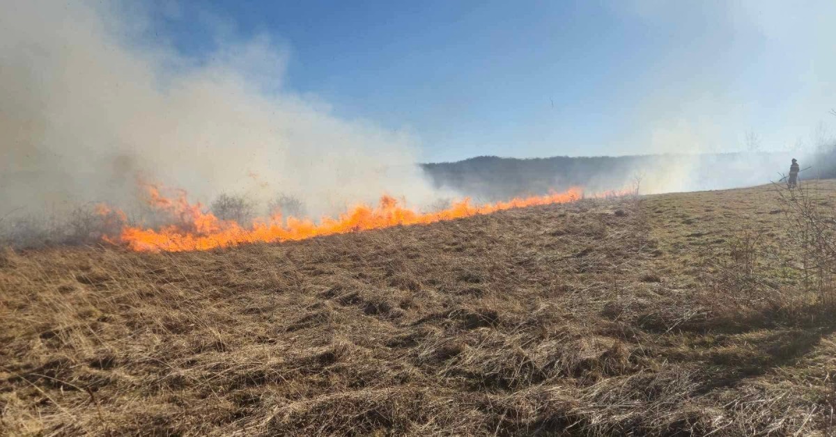 Strażacy apelują: Nie wypalajcie traw! Jedno podpalenie może zniszczyć życie, przyrodę i dorobek wielu lat