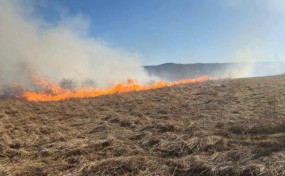 Strażacy apelują: Nie wypalajcie traw! Jedno podpalenie może zniszczyć życie, przyrodę i dorobek wielu lat