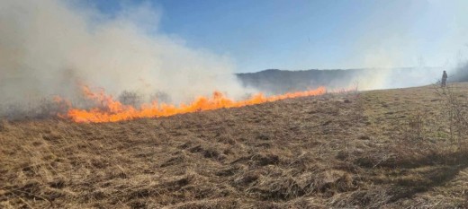 Strażacy apelują: Nie wypalajcie traw! Jedno podpalenie może zniszczyć życie, przyrodę i dorobek wielu lat