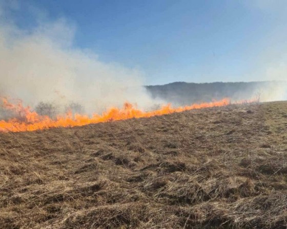 Strażacy apelują: Nie wypalajcie traw! Jedno podpalenie może zniszczyć życie, przyrodę i dorobek wielu lat