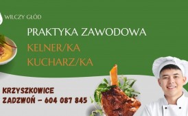 Przyjmę ucznia na praktykę w gastronomii (Kucharz/ka, Kelner/ka)