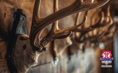 Chciał kupić poroże. Stracił 1300 złotych