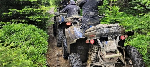 Sypią się mandaty. Policja i straż leśna na tropie quadów i crossów