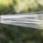 Myślenice. MZWiK apeluje o oszczędzanie wody. Zużywamy jej za dużo a upały nie ustępują