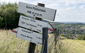 Myślenice. Trwa zabudowa Góry Plebańskiej. Co z dojściem na jej szczyt i do kompleksów leśnych?